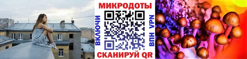 Купить закладки  Дигора  Галлюциногенные грибы мухоморы 